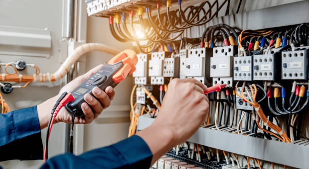 Best Affordable Electrician  in Spring Park, MN