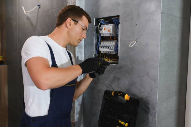 Best Electrical Repair Services  in Spring Park, MN