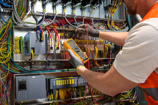 Best Local Electrician Companies  in Spring Park, MN